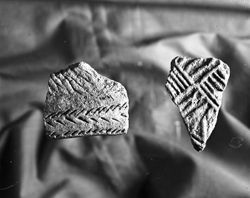 Complicated stamped sherds
