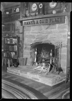 Fireplace and dog, Gail Hamilton's