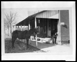 Marion David and mule in front of Dr. Turner's office