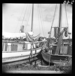 Boat, Tarpon Springs