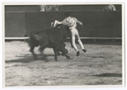 Item 0127. Liceaga leaping to evade charging bull. Portion of arena fence and a few spectators visible in background.