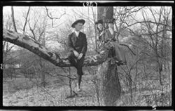 Maude, Genevive & Austin in tree, March 24, 1907, 3:30 p.m.