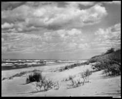 Views in Indiana Sand Dunes (orig. neg.)
