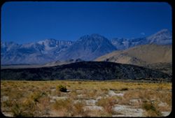 from Owens valley 5 mi. south of Big Pine looking S.W. toward Sierra Nevada