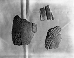 Decorated sherds
