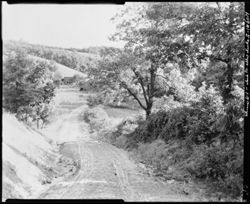 Clay Lick near Daddy Neff place, Into the Valley, horizontal