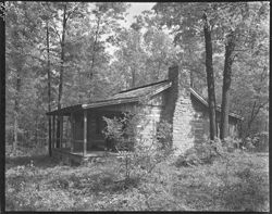 Miss Mills log cabin