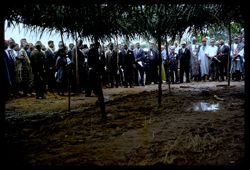 Voinjama Baptists gather under palm brush arbor