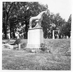 Horse. Conf. soldier in 4th Kentucky Cavalry