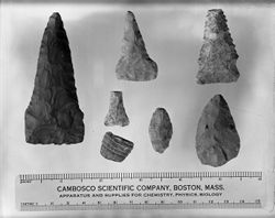 Bosson site, projectile points