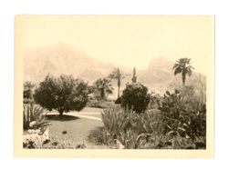 Garden with mountains in the background
