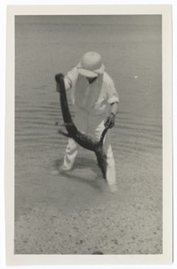 Item 0523. Eisenstein(?) standing in shallow water holding alligator by tail and one front leg.