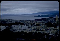 View up California coast from Buena Vista Park in San Francisco Tel. long - wrong focus