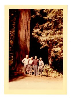 Men pose with redwood trees