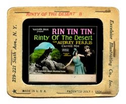 Rinty of the Desert