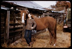 4 - yr old sorrel mare Harrison, Ark.