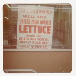 Union picked lettuce sign in store window