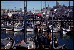 Crab boat returns to… Fisherman's Wharf San Francisco