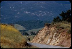 Foothills of Santa Ynez Mountains north of Sta. Barbara