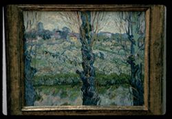 Vincent Van Gogh Arles Haus der Kunst Munchen