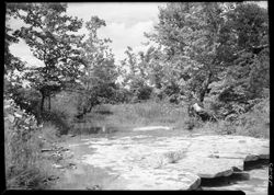 Hopper creek--Dr. Weyerbacher place