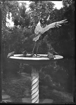 Fountain with crance, wings spread, Irwin Gardens
