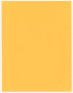 VAE3268-U-00062-00007-master