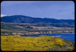 View S-E from Piegeon Point on Coast in southern San Mateo county Contax IIa