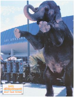 Un Éléphant sur les bras lobby card