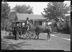 Leila David & Keith Taggart with horse & carriage