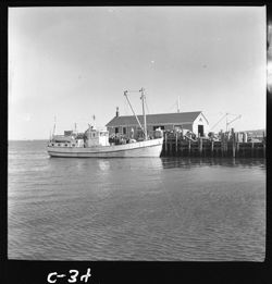 Villahaven boat
