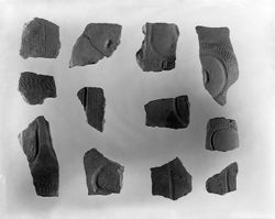 Mann Site Zone Decorated Sherds