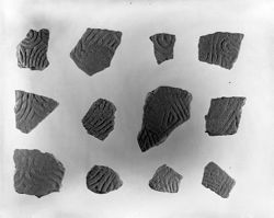 Mann Site Stamped Sherds