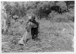 Woman chopping fuel wood