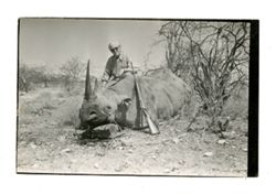 Roy Howard poses with rhinoceros carcass 2