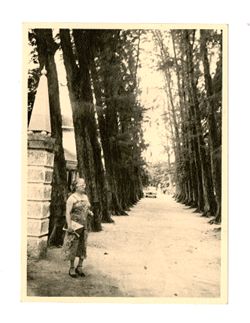 Margaret Howard standing on a tree-lined road