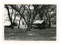 Camp in Kenya
