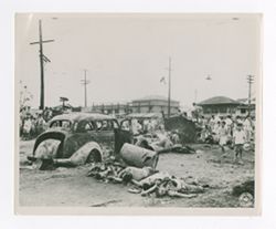 Japanese soldiers lie dead in the road