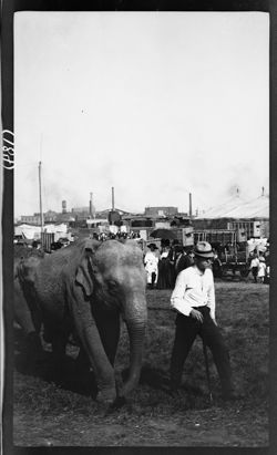 Elephants to water, Hagenbeck-Wallace Circus, Show grounds, May 7, 1911, 4 p.m