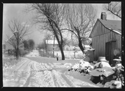 Hoh055.001.0052.tif