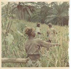 Working in a rice field