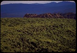 Green-covered volcanic rock above Diamond Valley near St. George, Utah