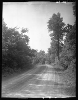 Road in Pleasant Valley, perp