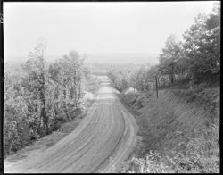 Road no. 135 from 2 miles north of town (orig. neg.)
