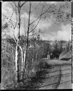 Road to the Village, Town Hill, Nashville (south), mule and wagon (orig. neg.)