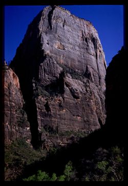 The Great White Throne Zion National Park Cushman