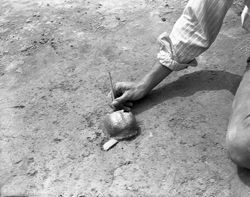Angel Excavation - Turtle shell