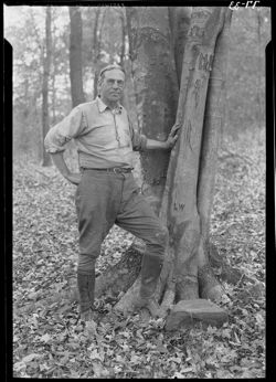 Homer Davisson at beech tree