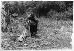 Woman chopping fuel wood