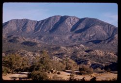 San Bernardino National Forest high up in San Jacinto Mtns.